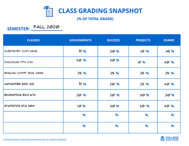 Class Grading Snapshot Spreadsheet Image